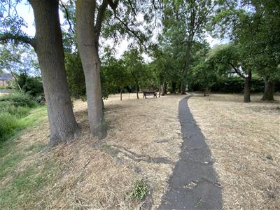 Picture 8